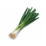 CEAPA VERDE LEGATURA