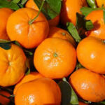 CLEMENTINE +/- 100G